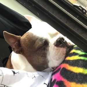 Meet your Posher, Hannah